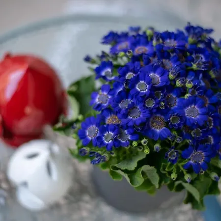 לינה וארוחת בוקר Tra Cielo E Terra Toritto