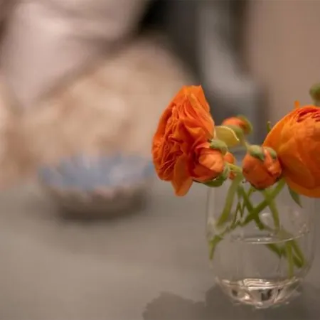 Tra Cielo E Terra לינה וארוחת בוקר 3*